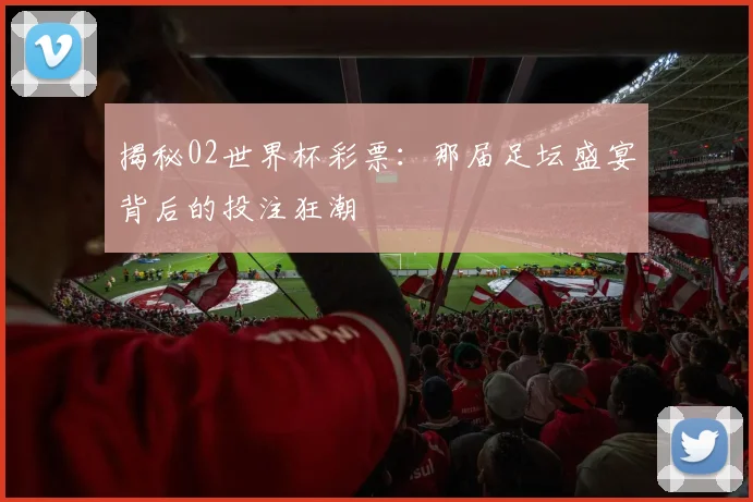 揭秘02世界杯彩票：那届足坛盛宴背后的投注狂潮