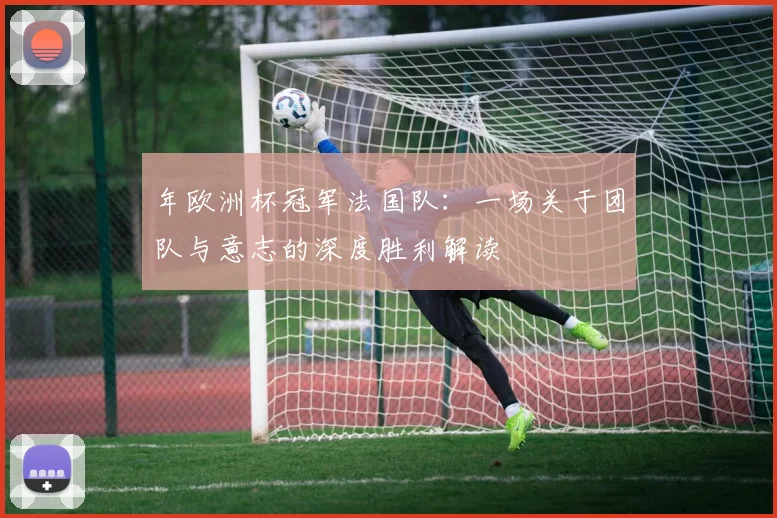 年欧洲杯冠军法国队:一场关于团队与意志的深度胜利解读