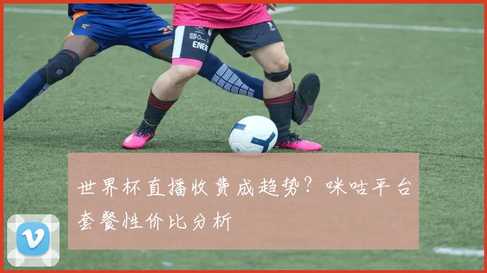 世界杯直播收费成趋势？咪咕平台套餐性价比分析