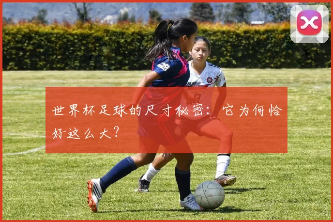 世界杯足球的尺寸秘密：它为何恰好这么大？