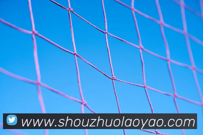 mk平台APP 封面图